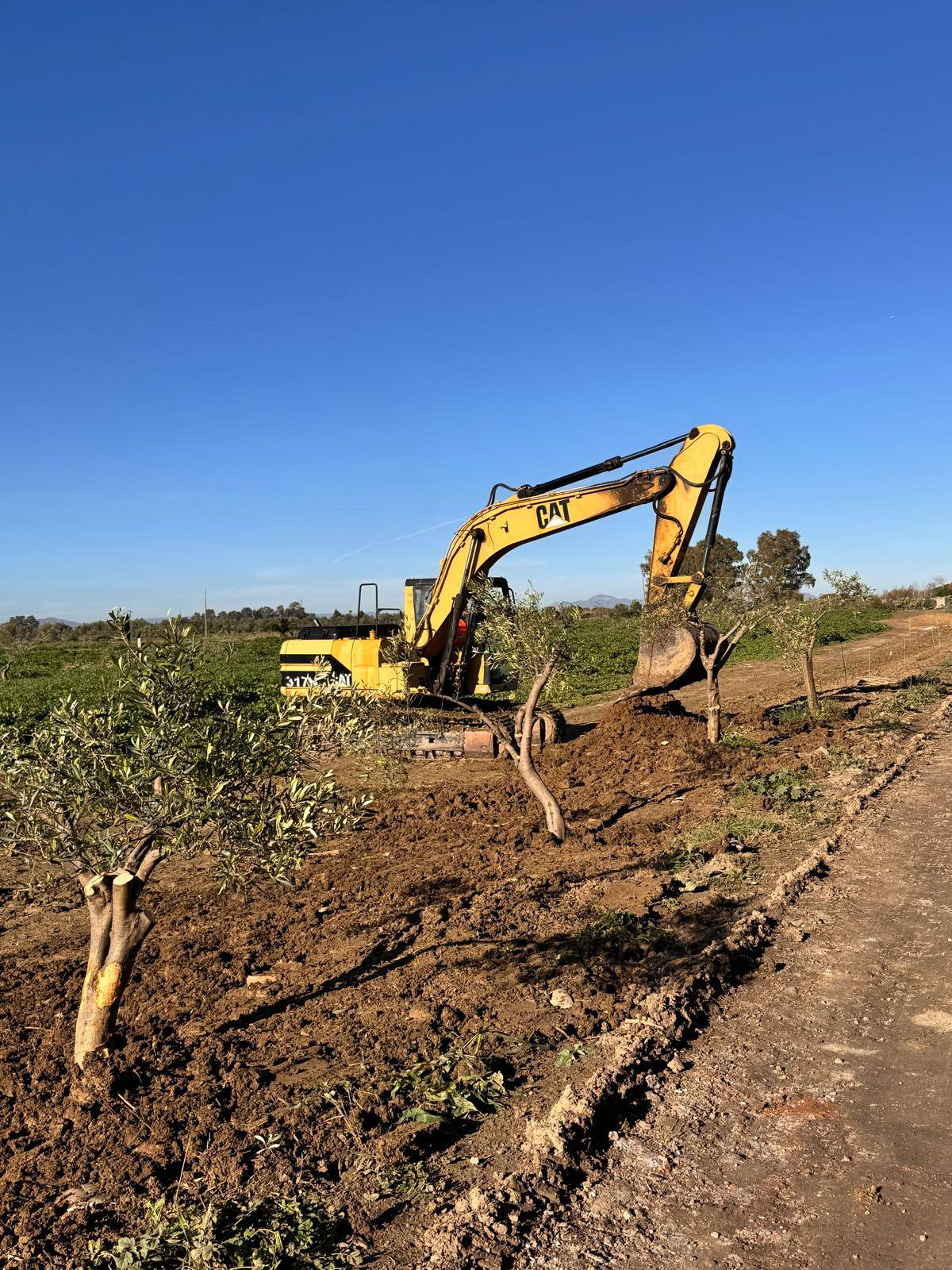 map[class:w-full h-full object-cover list-card-img src:images/fleet/mitigazione-ambientale.jpeg]