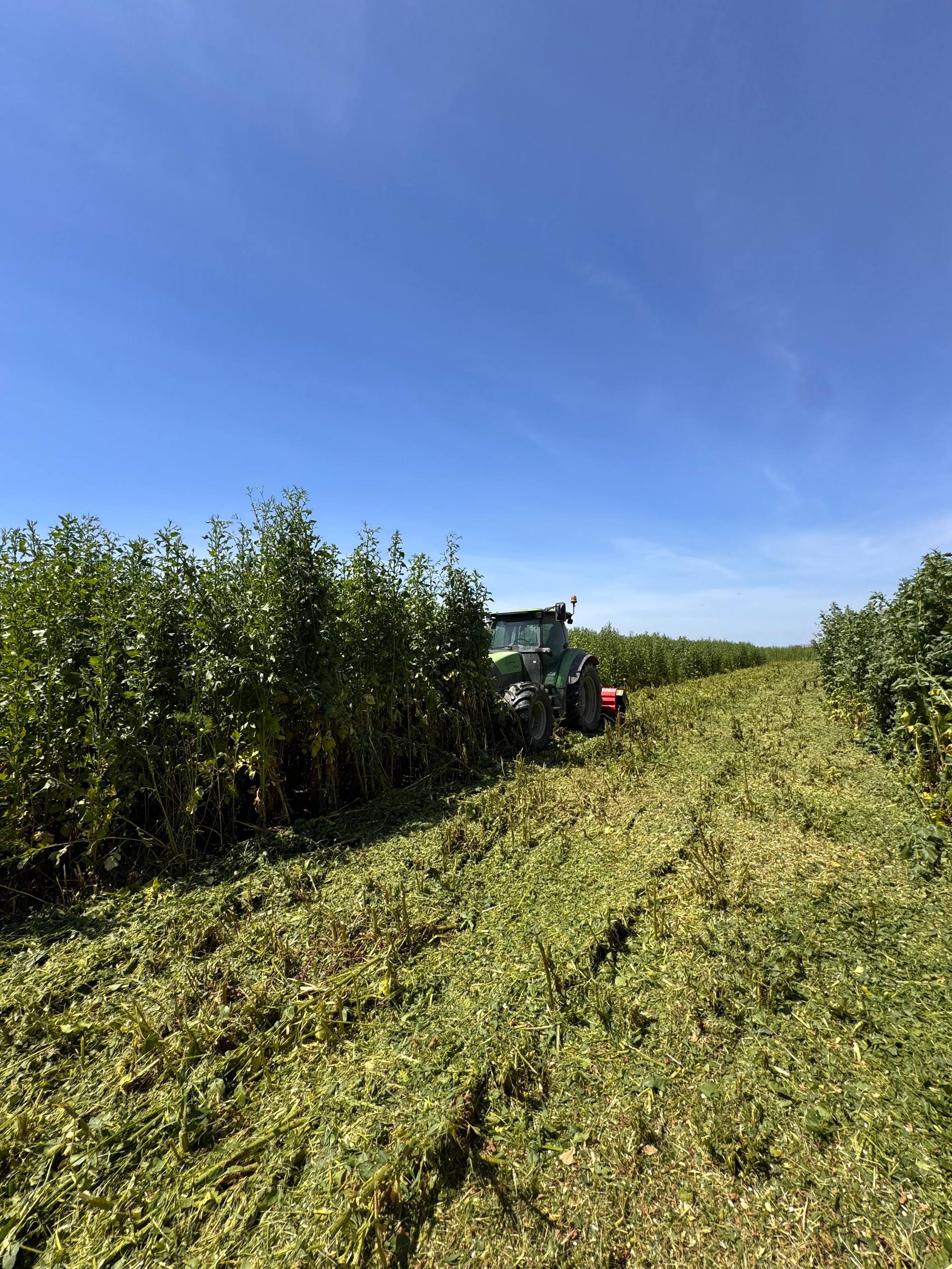 Noleggio trinciatrici